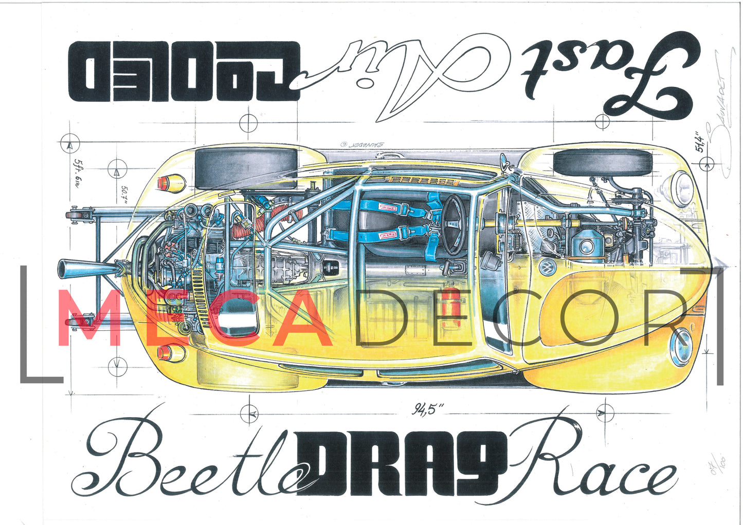 Beetle Drag Race